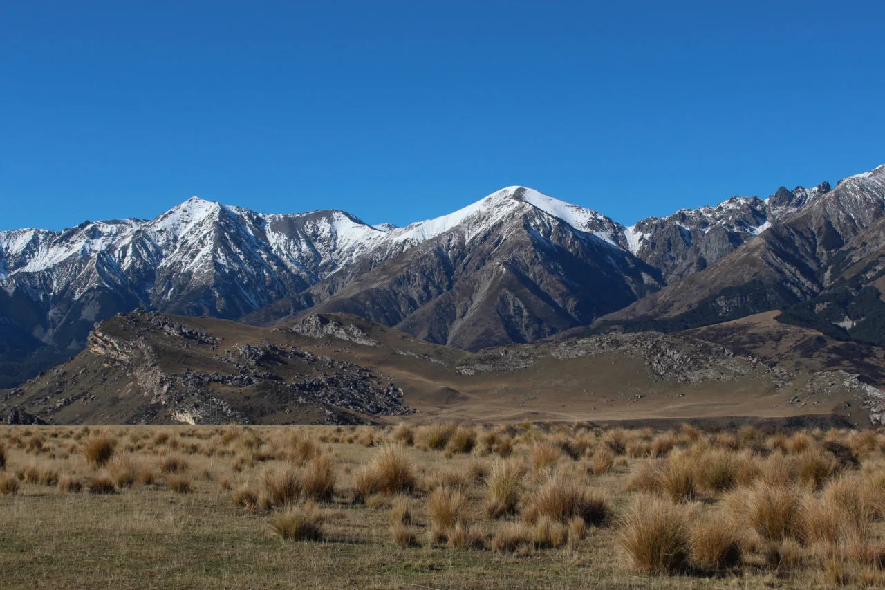 Nouvelle Zélande - Arthur's pass & Akaroa - les lubies de louise (16 sur 46)